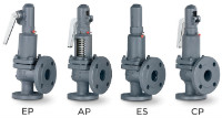 TYPE 496 Full lift safety valve with spring loading (AIT)-image