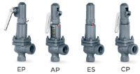 TYPE 495 Full lift safety valve with spring loading (AIT)-image